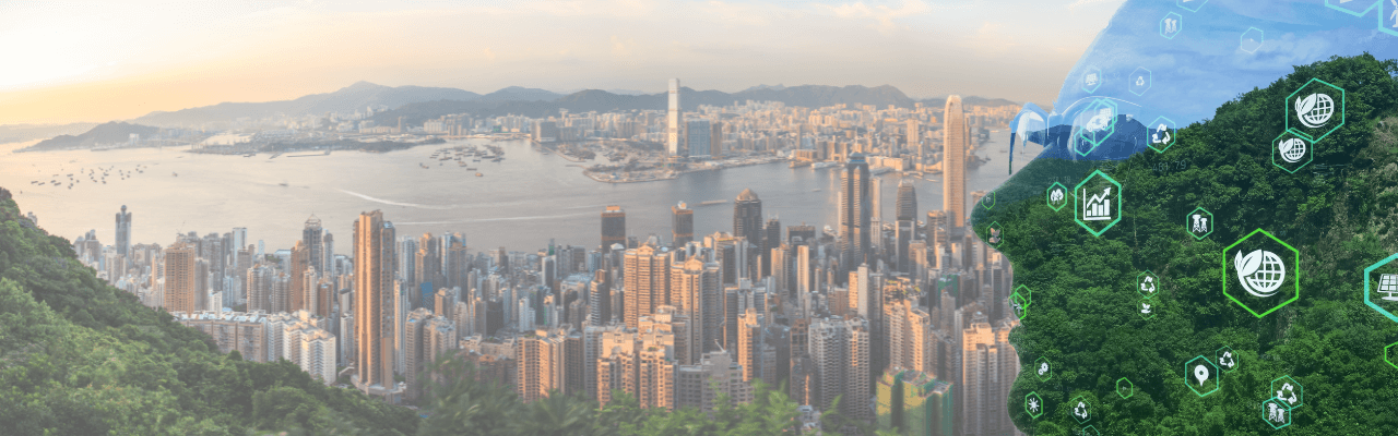 Hong Kong due diligence process