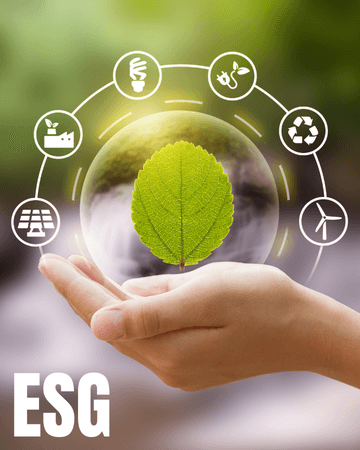 ESG services preview