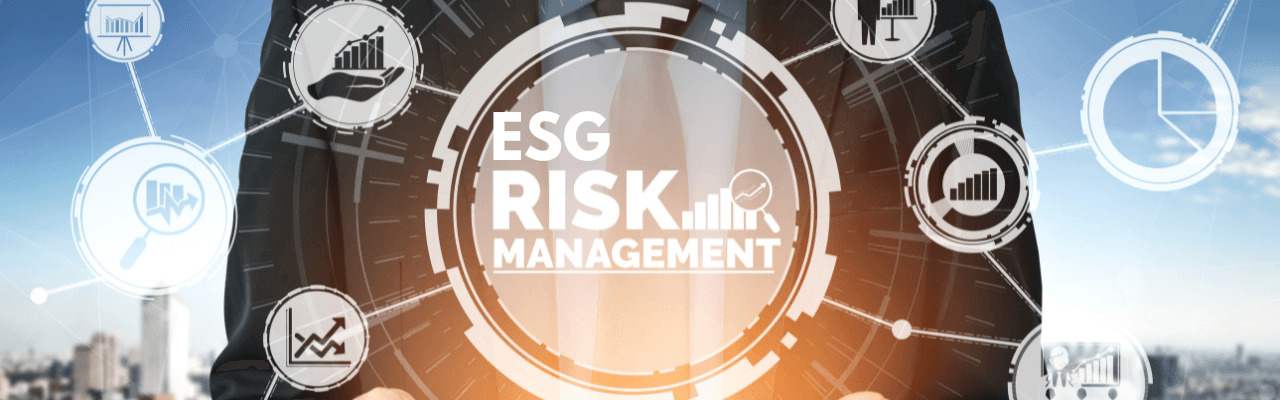 ESG Risk