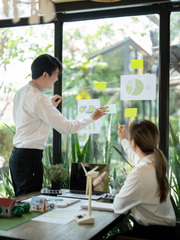 Sustainability Services And Advisory (SSA)